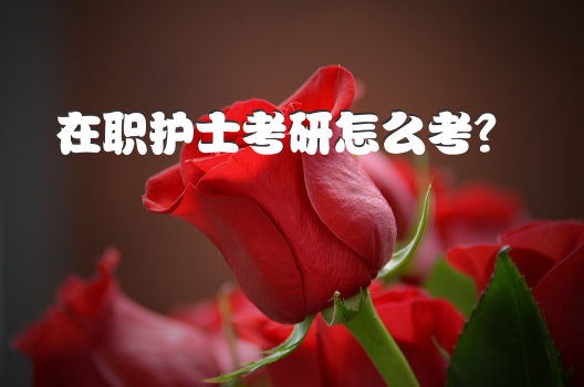 护理学哪个专业最吃香？