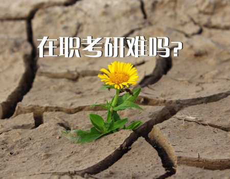 地方院校如何报考公安大学研究生？