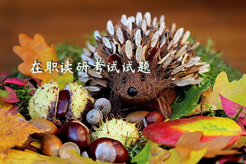 在职读研考试试题
