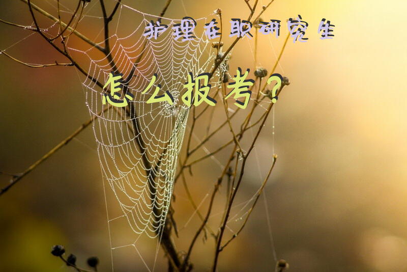 护理在职研究生怎么报考？在职护士考哪类研究生？