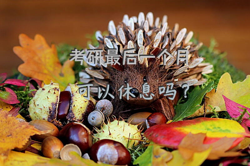 考研最后一个月可以休息吗？