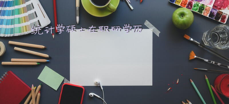 统计学硕士在职研学历