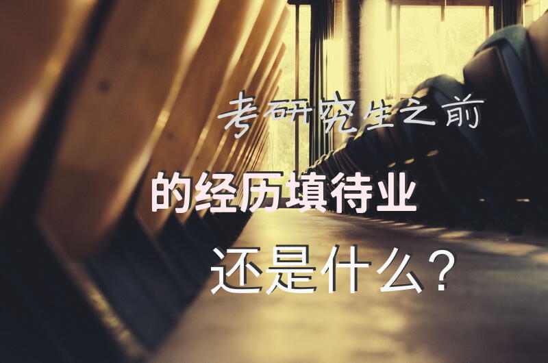考研究生之前的经历填待业还是什么？
