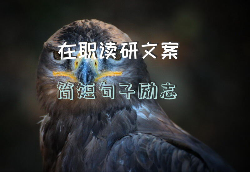 在职读研文案简短句子励志