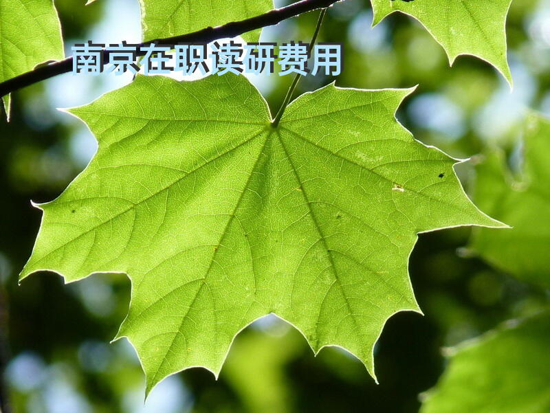 南京在职读研费用